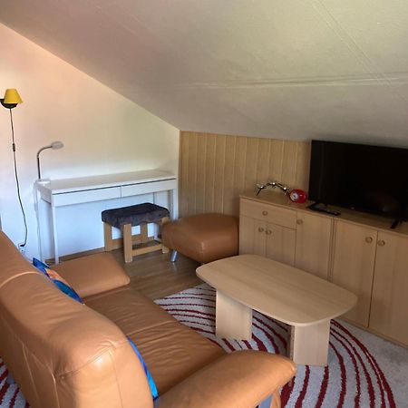 Ferienhaus-Cerny Bad Goisern Dış mekan fotoğraf